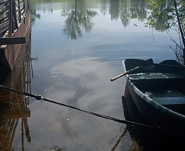 Саратовские ветеринары добирались до пастбищ на лодках