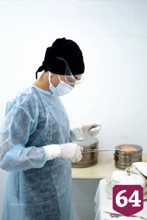 В Саратовской области ребенок и пенсионерка попали в больницу после нападения кошек